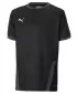 T -shirt PUMA TEAMGOAL 23 JERSEY JR 704160_03 PUMA ČIERNA/ASFALT