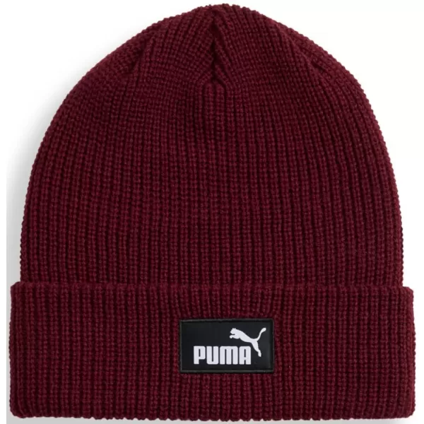  Čepice PUMA ESS HIGH CROWN BEANIE 026410-03 ČERVENÝ 