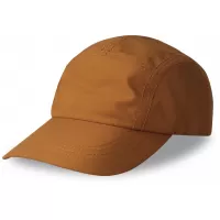 Šedá