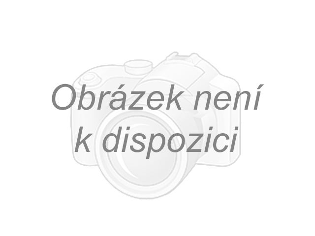 Pánske tepláky ALPINE PRO UDES BLACK